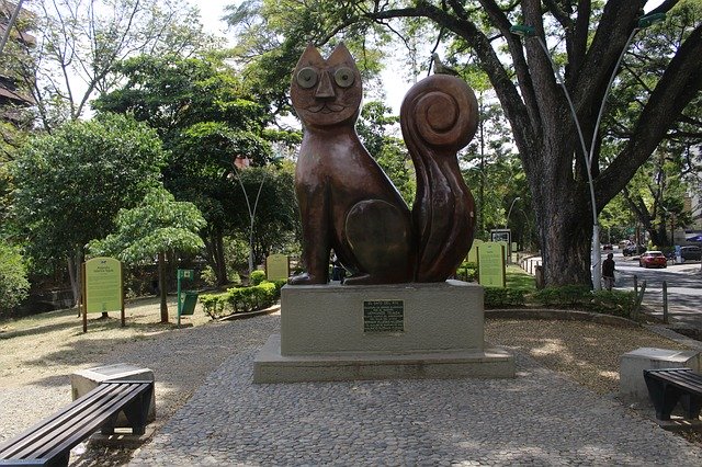 Parque de los gatos en Cali