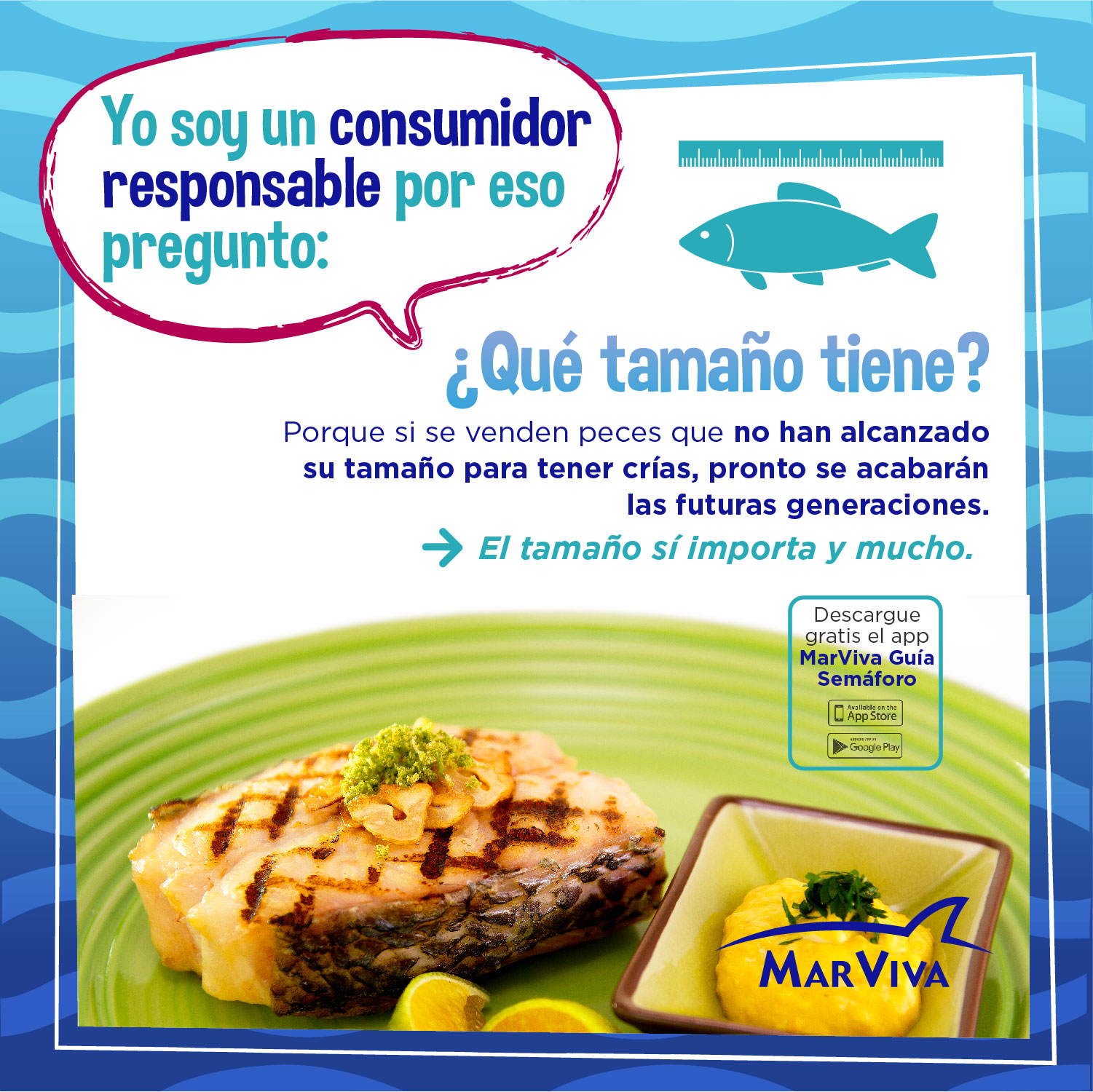 Consumo responsable de pescado. Qué tamaño tiene?