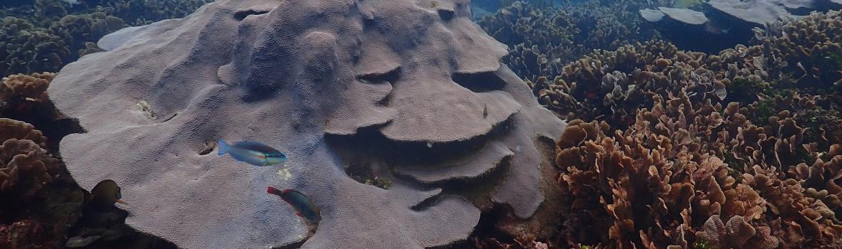Maravillas de ayer y hoy, patrimonio biocultural para la Humanidad.
