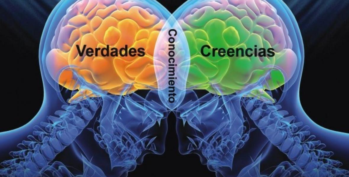 Neurociencias y Educación