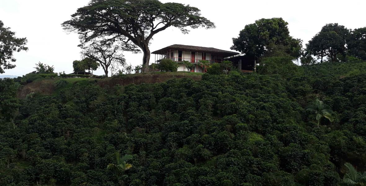 Chinchiná, Caldas, Colombia.