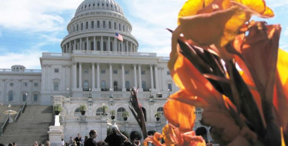 En Washington la tranquilidad y el silencio son otra piel.