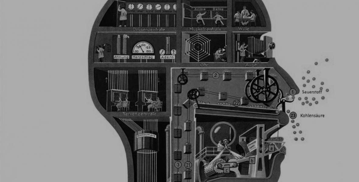 Fritz Kahn, 1926. Respiration.