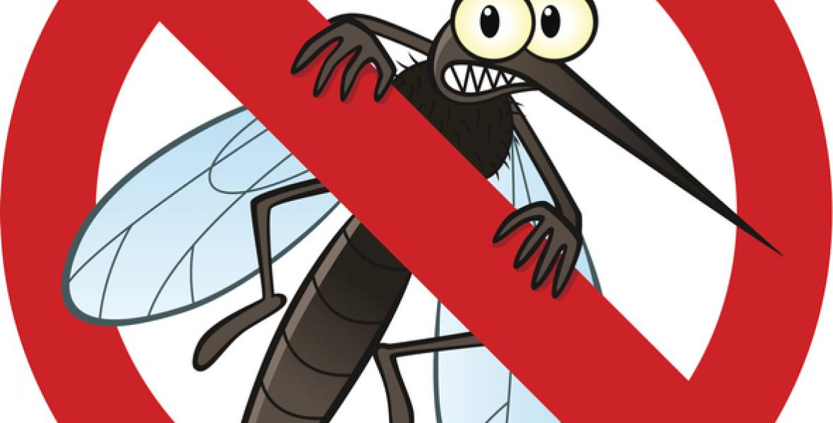 El dengue es una terrible enfermedad socioambiental