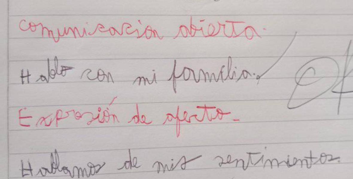 La publicación sobre la opción de Crianza Responsable a partir de una tarea del hijo de una compañera de la Universidad, me hizo rescatar un hecho que marcó mi vida para siempre.